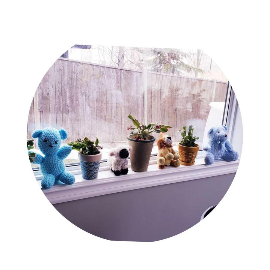 Best Garden House&3 Mins Bus Station Close C-Train&Free Parking YYC Kültér fotó